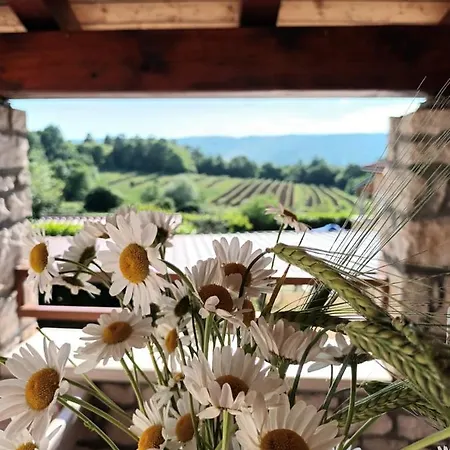 Marija